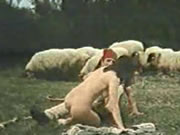 Griego vintage oveja pradera sexo